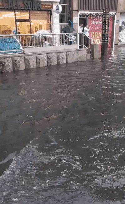 80376913462f1135ad8f6f2.21929396.gif