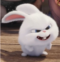 1739164892_2231c035bde8fa751698.png