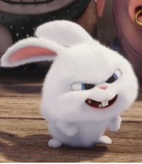 1739265972_d588fc7d5d8f0103c25e.png