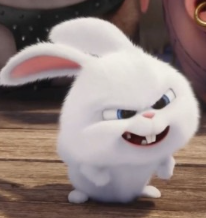 1739933689_78033590f5d34b0abe55.png
