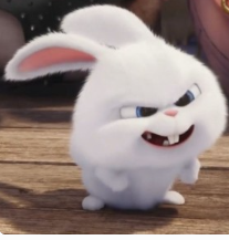 1740180542_27810d6faea5fcb1418a.png