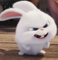 1740327538_750297d5d304cfb64a01.png