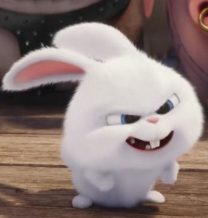 1740440513_08539e4840d6f08f7682.png