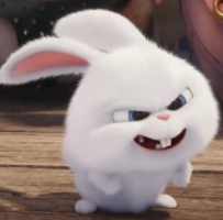 1740505064_1f8416ed7f5426e1e0ff.png