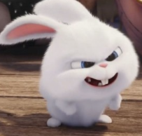 1740590312_e9bf406f77c27a185654.png