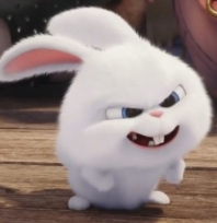 1740675263_fc325fc452e1cd2e700f.png