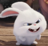 1740878161_188c27a741b32f0efdca.png