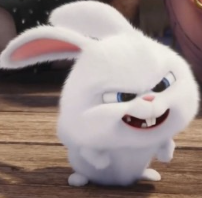 1741131008_a5e5d020ac8c327727d0.png