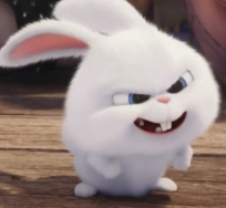 1741338303_fada2d7e474e67b5a36b.png