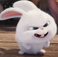 1741753384_d8c79cdf4e470f0ec7cb.png