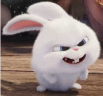 1741865703_3b127cfece92a2b4e4e1.png