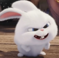 1741932953_0aec0a0d1b3d800d36c5.png