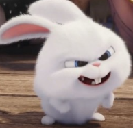 1742254669_5fa2fe9d927053a83978.png