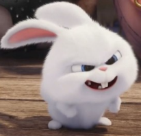 1742287513_04824700f92e01fdf8b7.png