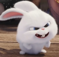 1742422850_d2dfe1ab088f14ffafb8.png