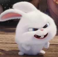 1742456685_d73f4e45a46ed888fccc.png