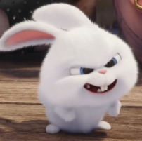 1742551649_a855b7f5c95117e582f6.png