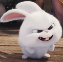 1743060293_737e105ab66c89866ce0.png