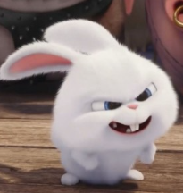 1743448125_7fef6ae32e4f15f25e0f.png