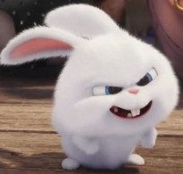 1744062684_f38f717d3e97a29b787c.png