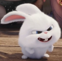 1745272937_da3ec521f3a71eea8d37.png
