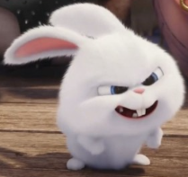 1745358718_a4ef91a3fc80549fd0d6.png