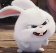 1746567651_26642462fc57186c097f.png
