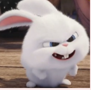 1746647424_0e36a546034b621366f2.png
