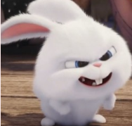 1746741849_c65bbd03c0a61ca5f682.png