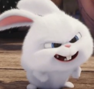 1746778281_71921a3fb1f4a82df121.png