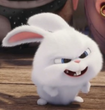 1749423636_156eddd112ccef0cbe3d.png