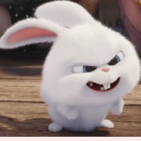 1758185485_4ae96f7f51c2f7ac324a.png