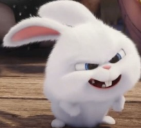 1761353755_1c281d3b0cb507c927bb.png