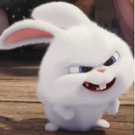 1764706787_75d8a839361d050b865b.png