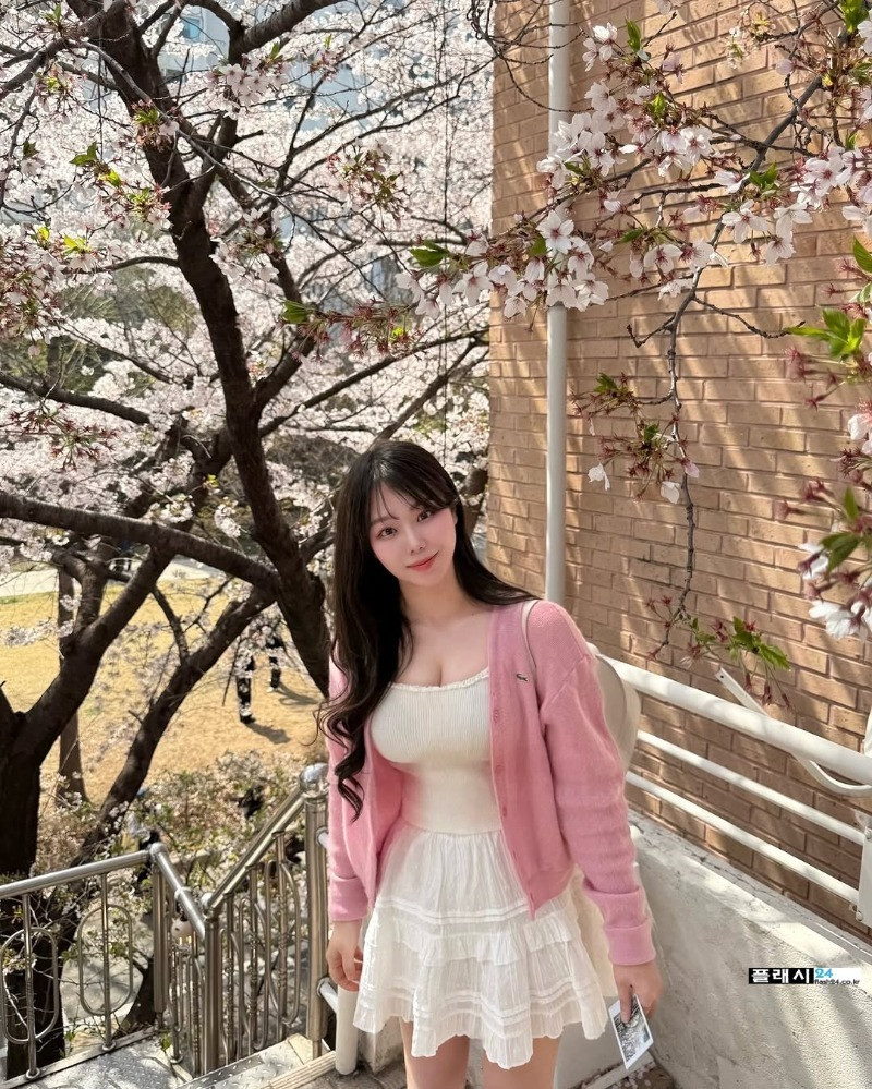 벚꽃 구경