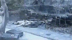 2505020676423dc41340251.80251328.gif
