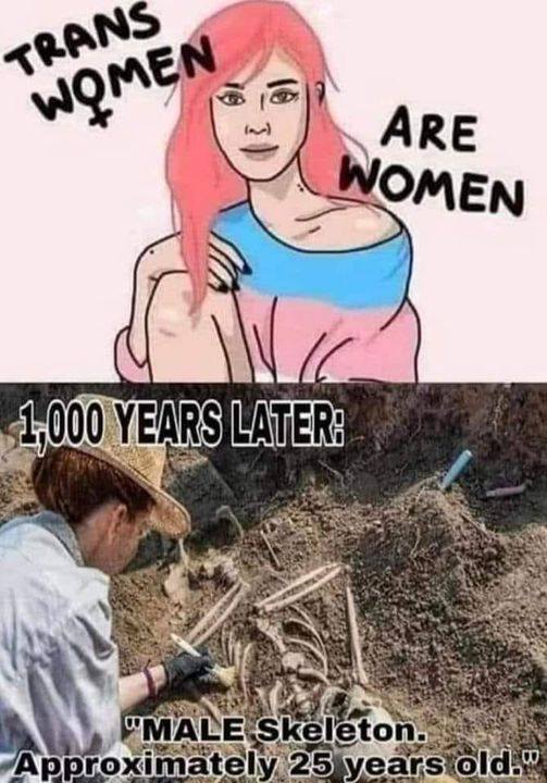 111363885665025c88ea0815.16698598.jpg