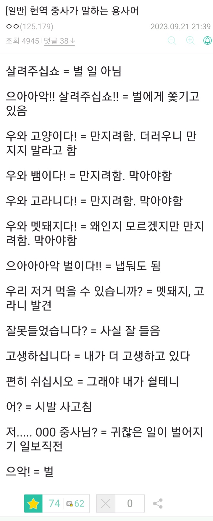 1931842146650e768741a100.91509528.jpg