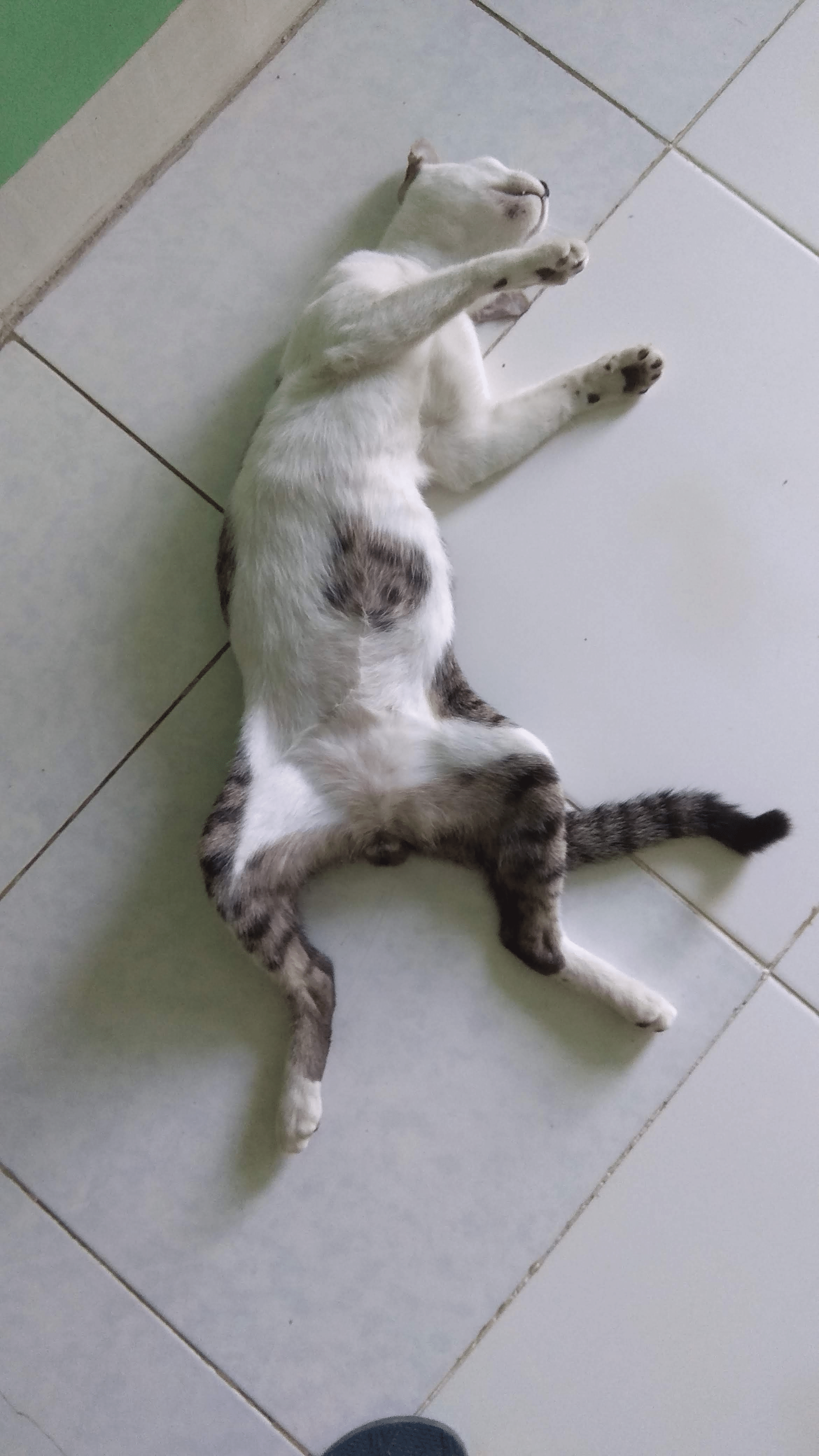 프로필이미지