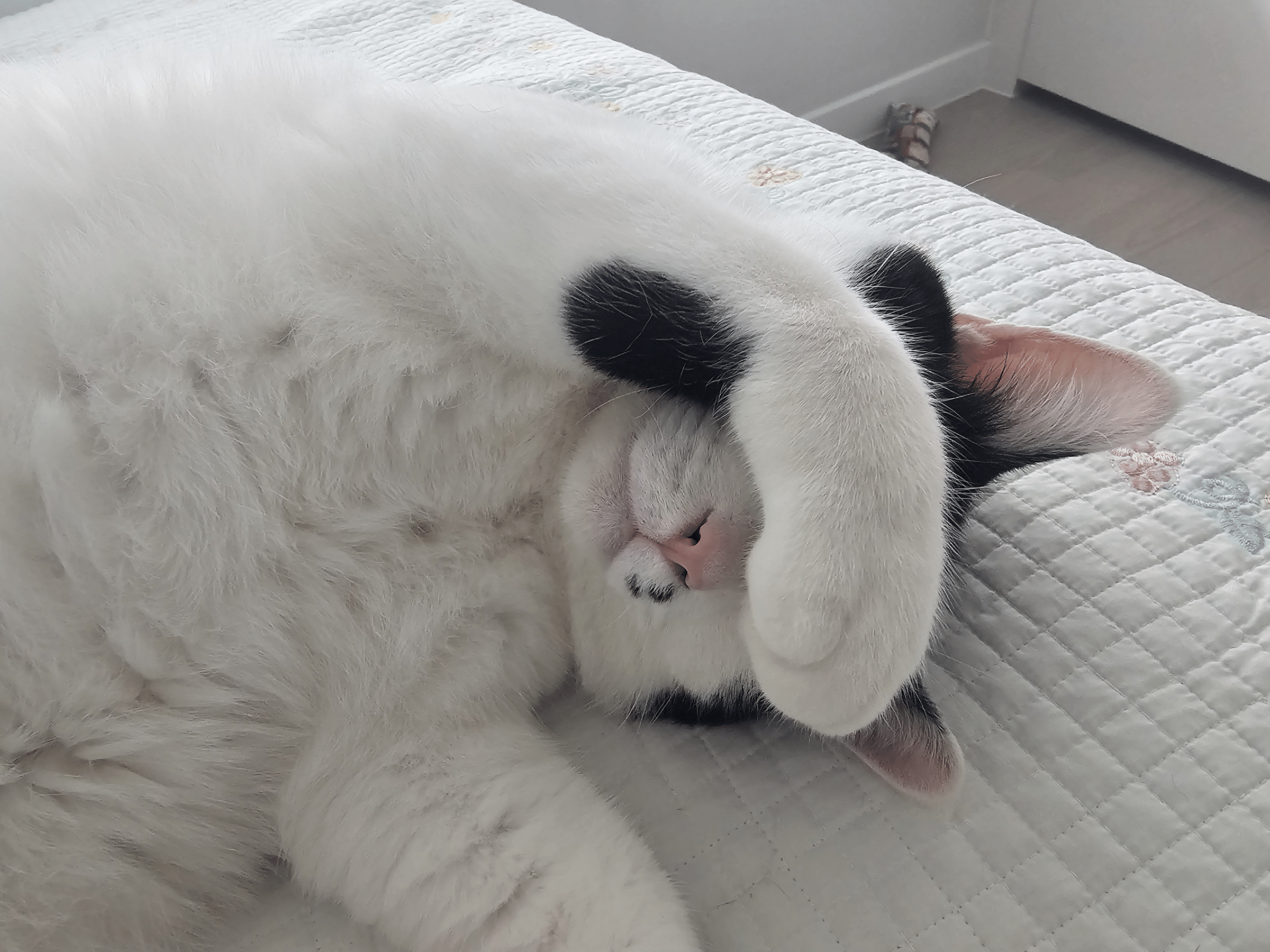 프로필이미지