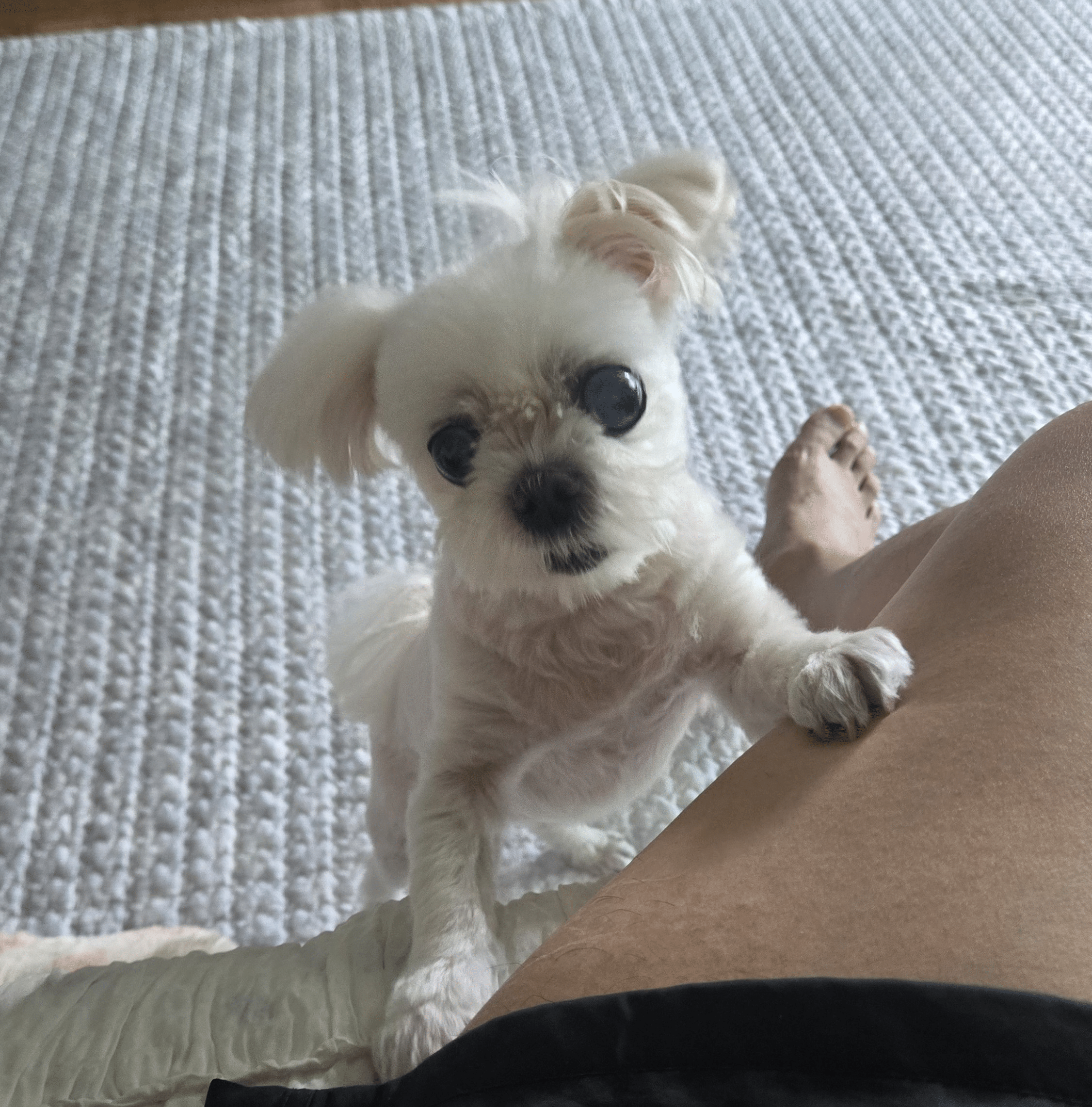 프로필이미지