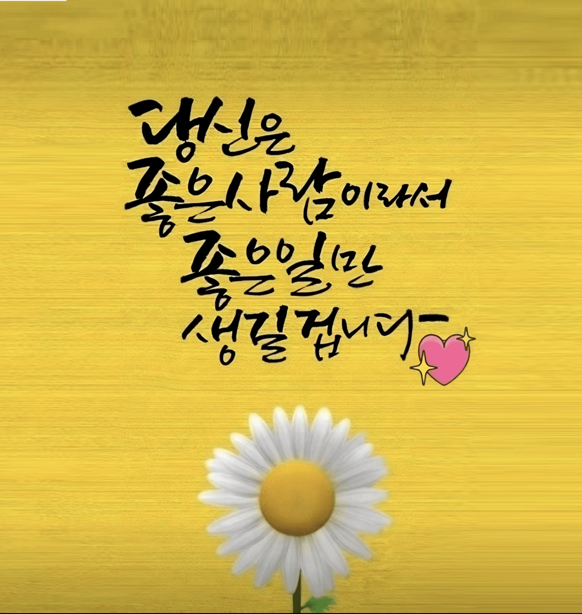 프로필이미지